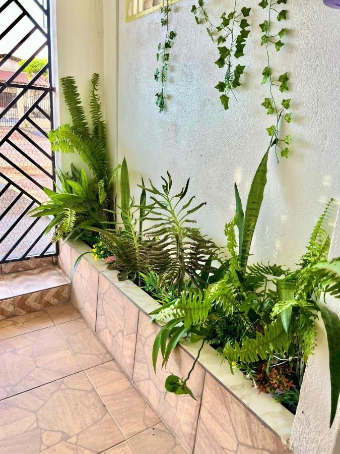 דירות Macapá Aeroporto House מראה חיצוני תמונה